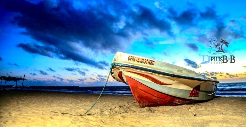 D Plus Resort Negombo Exteriér fotografie